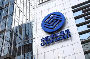 资本涌动，数字文创赛道迎来新机遇 微影时代与B站投资动态解析